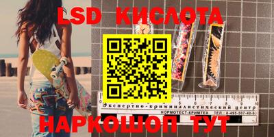 гидра Краснознаменск