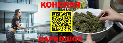 гидра Краснознаменск