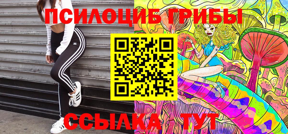Тольятти  Псилоцибиновые грибы мицелий  Вход с VPN 