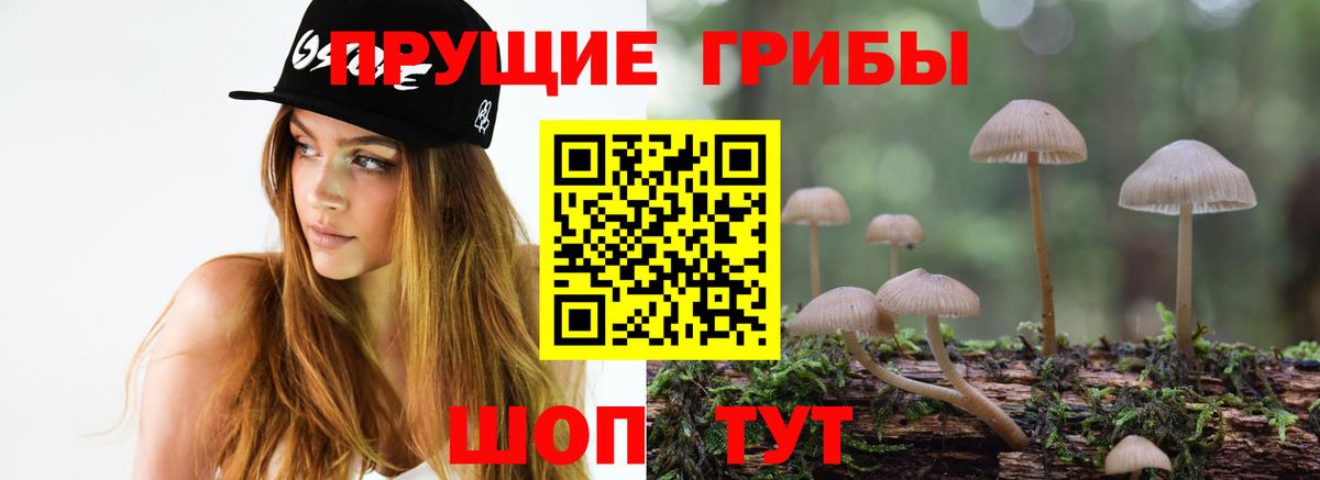 Галлюциногенные грибы мицелий Тольятти